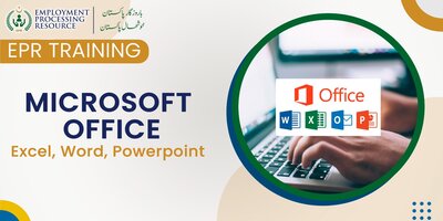 Microsoft Office (Excel, Word, PowerPoint)